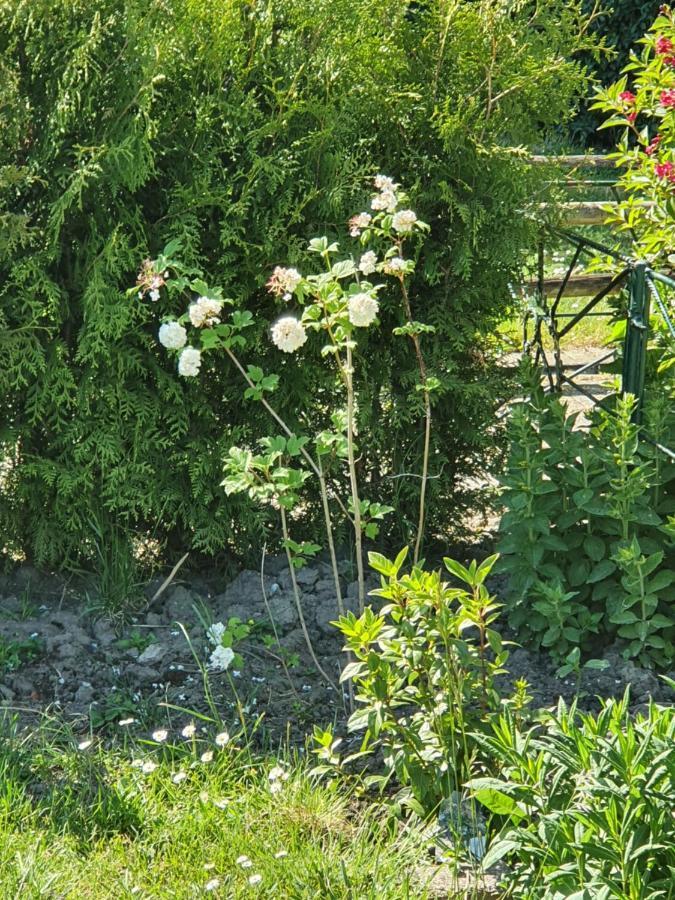 Rekerlanden 177 Vakantiewoning Nabij Strand Warmenhuizen Εξωτερικό φωτογραφία